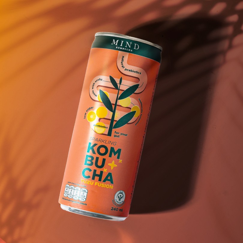 MindKombucha DEmark1